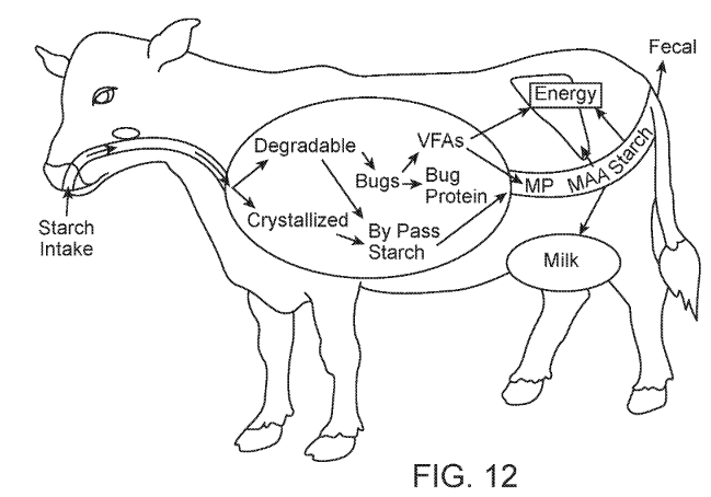 Preliminary Injunction and Patent License Disputes