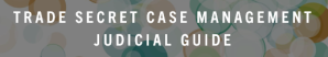 Introducing the Trade Secret Case Management Judicial Guide